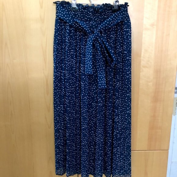 Zara Polka Dot Maxi Skirt - Picture 1 of 4